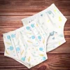 Adjustable & Washable Cloth Diaper Panty 2 Pk Dinosaurs And Fish Multicolour
