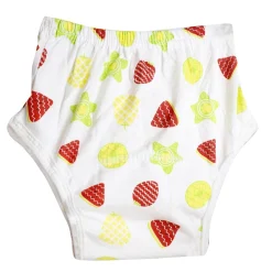 Adjustable & Washable Cloth Diaper Panty 2 Pk Forest Fruits Multicolour