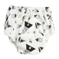 Adjustable & Washable Cloth Diaper Panty 2 Pk Driving And Sailing Multicolour