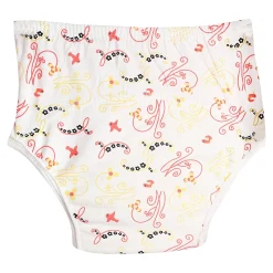 Adjustable & Washable Cloth Diaper Panty 2 Pk Abstract Multicolour