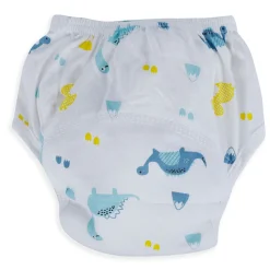 Baby Moo Dinosaur Reusable Cloth Training Diaper Panty - Multicolour