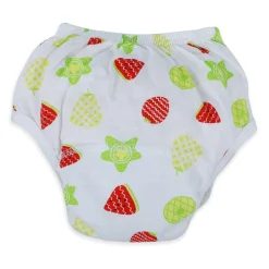 Baby Moo Fruity Reusable Cloth Training Diaper Panty - Multicolour