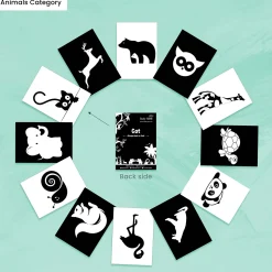Baby Moo High Contrast Flash Cards Pack of 12 - Animals