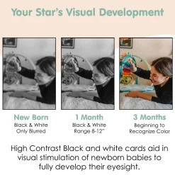 Baby Moo High Contrast Flash Cards Pack of 12 - Animals
