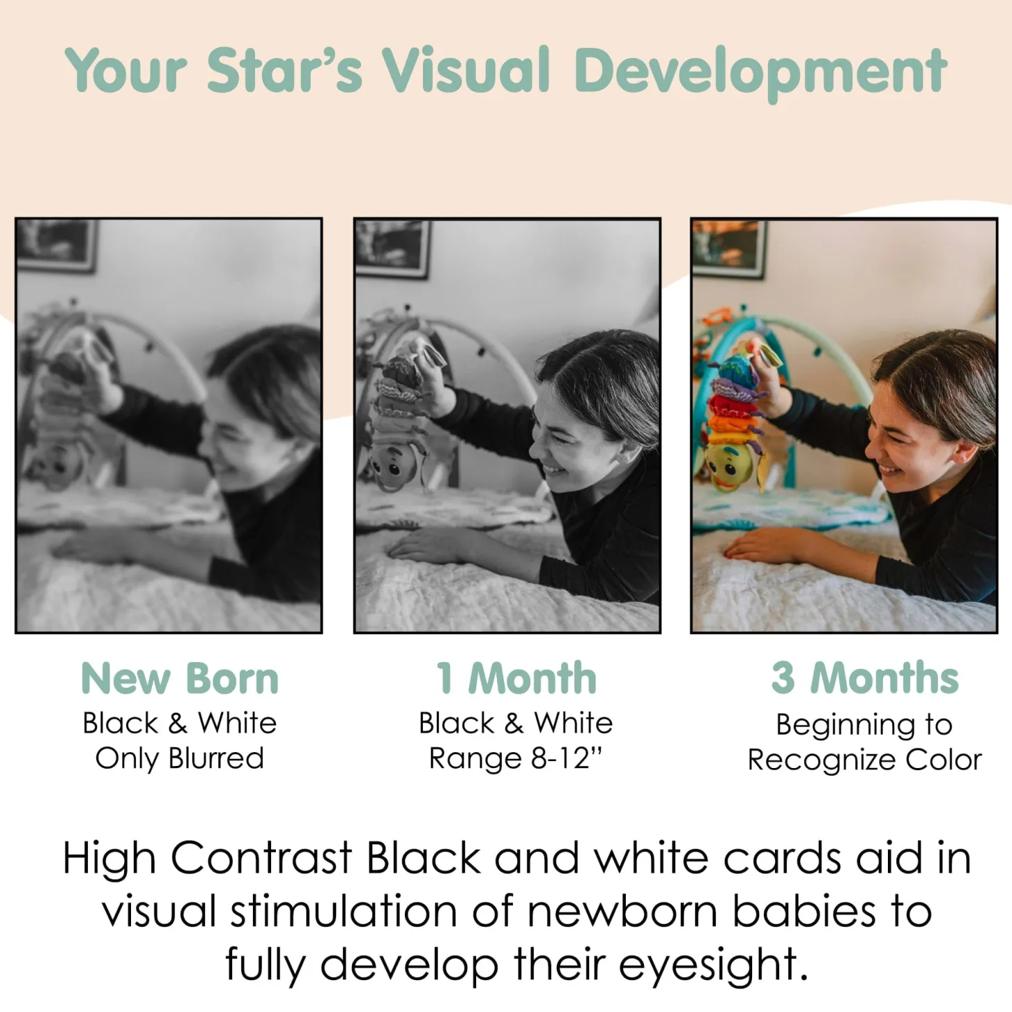 Baby Moo High Contrast Flash Cards Pack of 12 - Animals