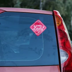 Baby Moo Little Lady On Board Car Safety Board With Vacuum Suction Cup Clip - Pink