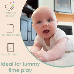 Baby Moo Numbers 1 To 10 Flash Cards - Green, Peach