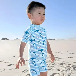 Baby Moo Playing Dolphin Beach Bodysuit One-Piece Swimsuit Pool Swimming Costume - Blue