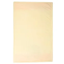 Baby Moo Playing Tiger Plush Cotton All Season Nursery Blanket - Orange