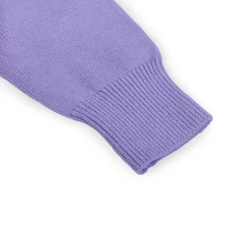 Basic Polo Neck Ribbed Premium Full Sleeves Knitted Kids Sweater - Purple