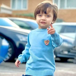 Bear Embroidery Premium Full Sleeves Knitted Sweater - Blue