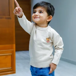Bear Embroidery Premium Full Sleeves Knitted Sweater - White