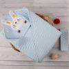 Bunny Blue Quilt