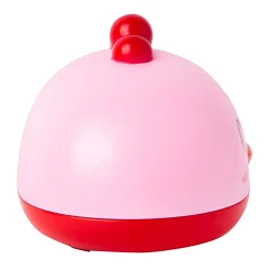 Chick Pink Soap Box