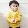 Classic Solid Round Neck Premium Full Sleeves Cable Knit Sweater - Mustard
