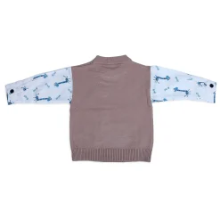 Cute Giraffe Premium Full Sleeves Knitted Sweater - Brown And White