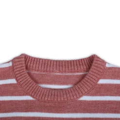 Dashing Dino Striped Premium Full Sleeves Knitted Sweater - Reddish Brown