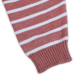 Dashing Dino Striped Premium Full Sleeves Knitted Sweater - Reddish Brown