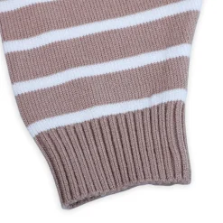 Dashing Dino Striped Premium Full Sleeves Knitted Sweater - Greyish Brown