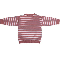 Dashing Dino Striped Premium Full Sleeves Knitted Sweater - Reddish Brown