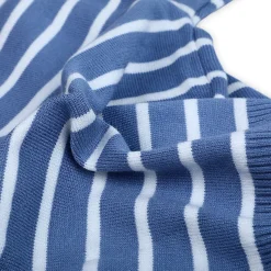 Dashing Dino Striped Premium Full Sleeves Knitted Sweater - Blue
