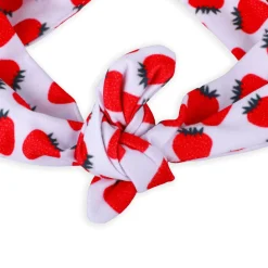 Fruitilicious Bow Knot Headbands 2 Pcs - Red