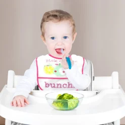 Fun With Fruits Pink 2 Pk Bibs