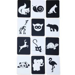 High Contrast Flash Cards 36 Cards - Bundle of Animals And Objects And Vehicles And Patterns
