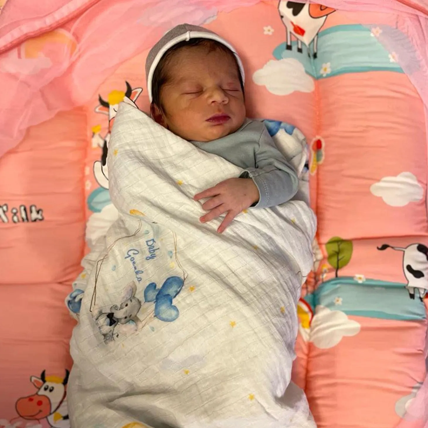 Mosquito Net Tent Mattress Set With Neck Pillow Milkaholic Peach