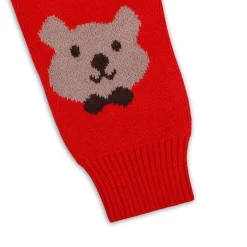 Mr. Bear Premium Full Sleeves Knitted Sweater With 3D Applique - Red