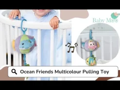 Ocean Friends Multicolour Pulling Toy