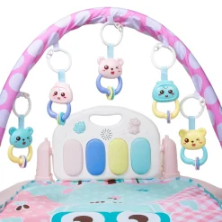 Owl Blue Piano Activity Gym