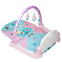 Owl Blue Piano Activity Gym