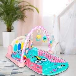 Premium Owl Blue Piano Activity Gym