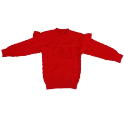 Ruffled Jumper Solid Premium Full Sleeves Braided Knit Sweater - Red