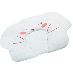 Sleepy Bear Blue Pillow