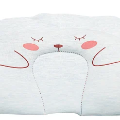 Sleepy Bear Blue Pillow