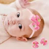 Strawberry Pink Headband Set