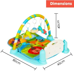 Sunny Zoo Day Multicolour Piano Activity Gym